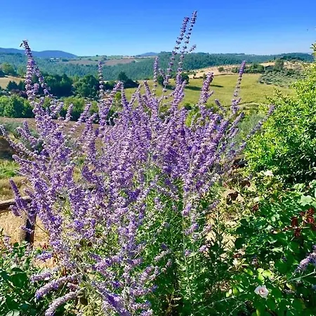 Millefiore *