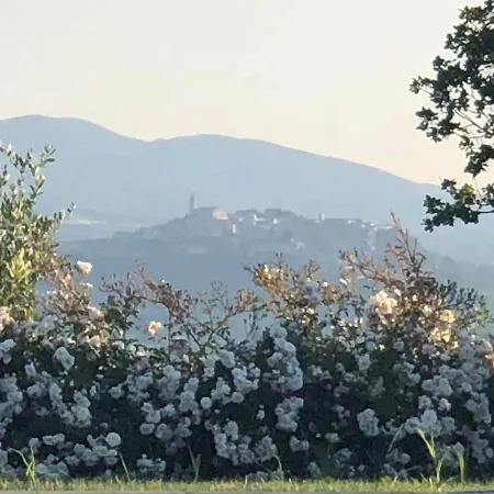 Millefiore *