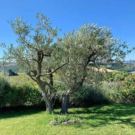 Millefiore Casa vacanze Grutti