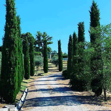 Millefiore Casa vacanze *