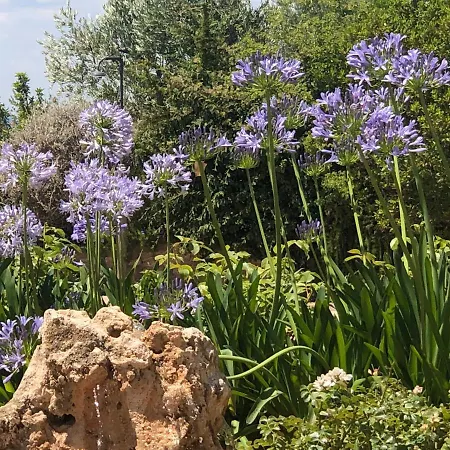 Millefiore Casa vacanze