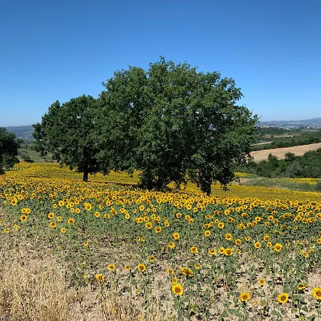 Millefiore Grutti